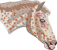 Horse18