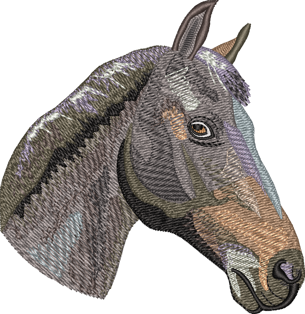 Horse19