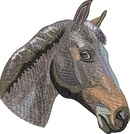 Horse19