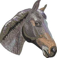 Horse19