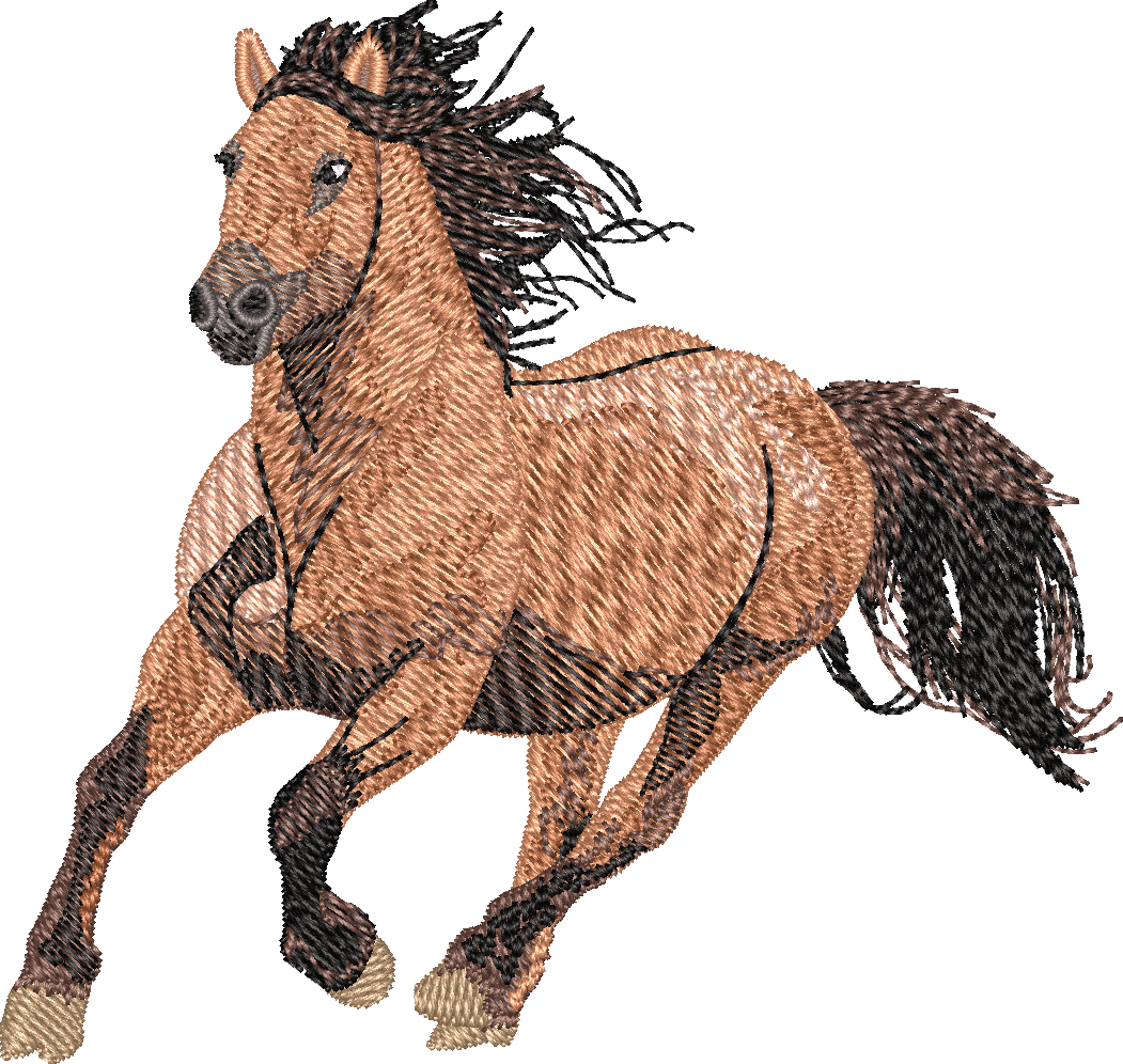 Horse2