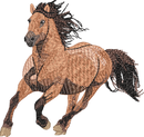 Horse2