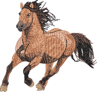 Horse2