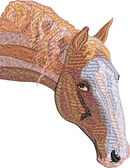 Horse20