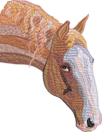 Horse20