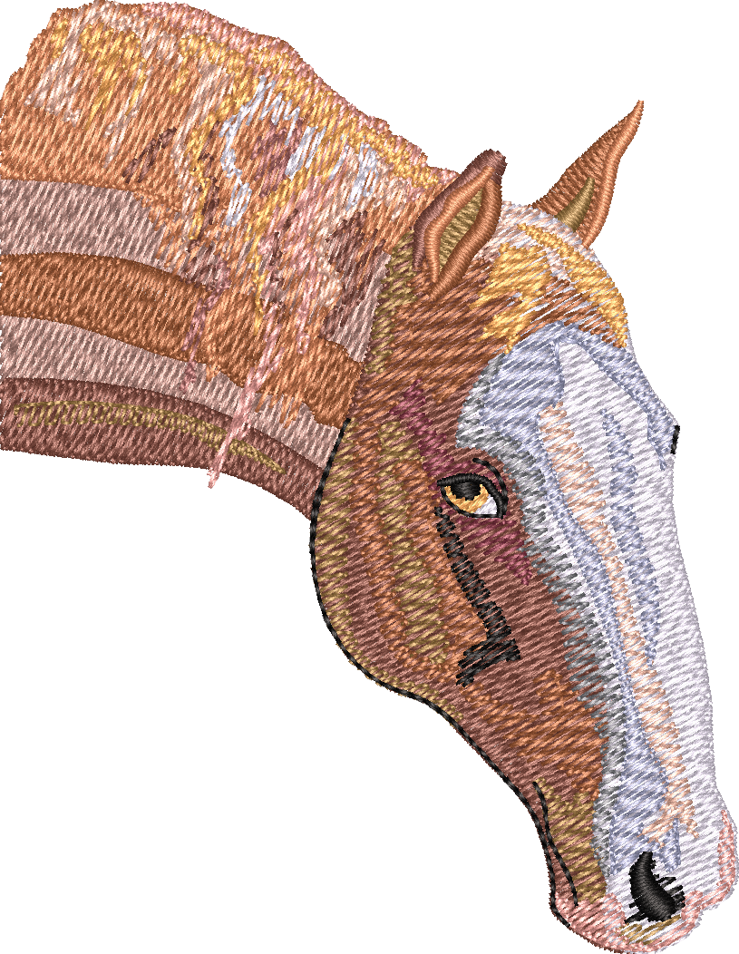 Horse20