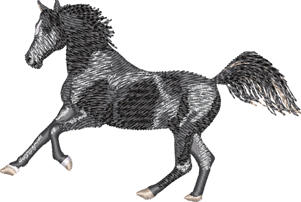 Horse22