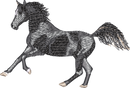 Horse22