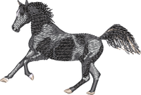 Horse22