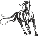 Horse23