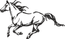 Horse24