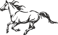 Horse24