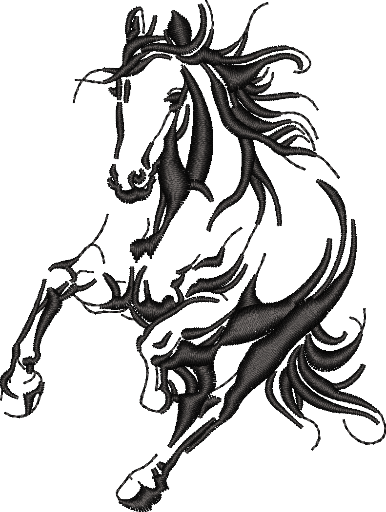 Horse25