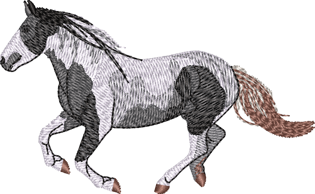 Horse27