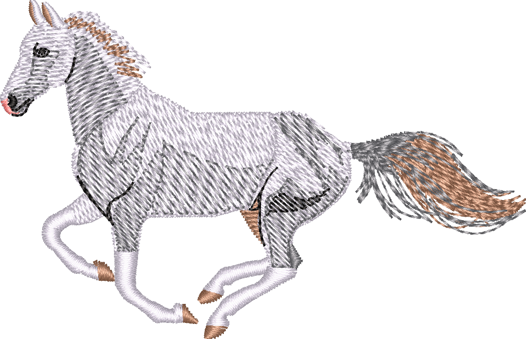 Horse28