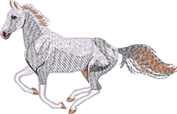 Horse28
