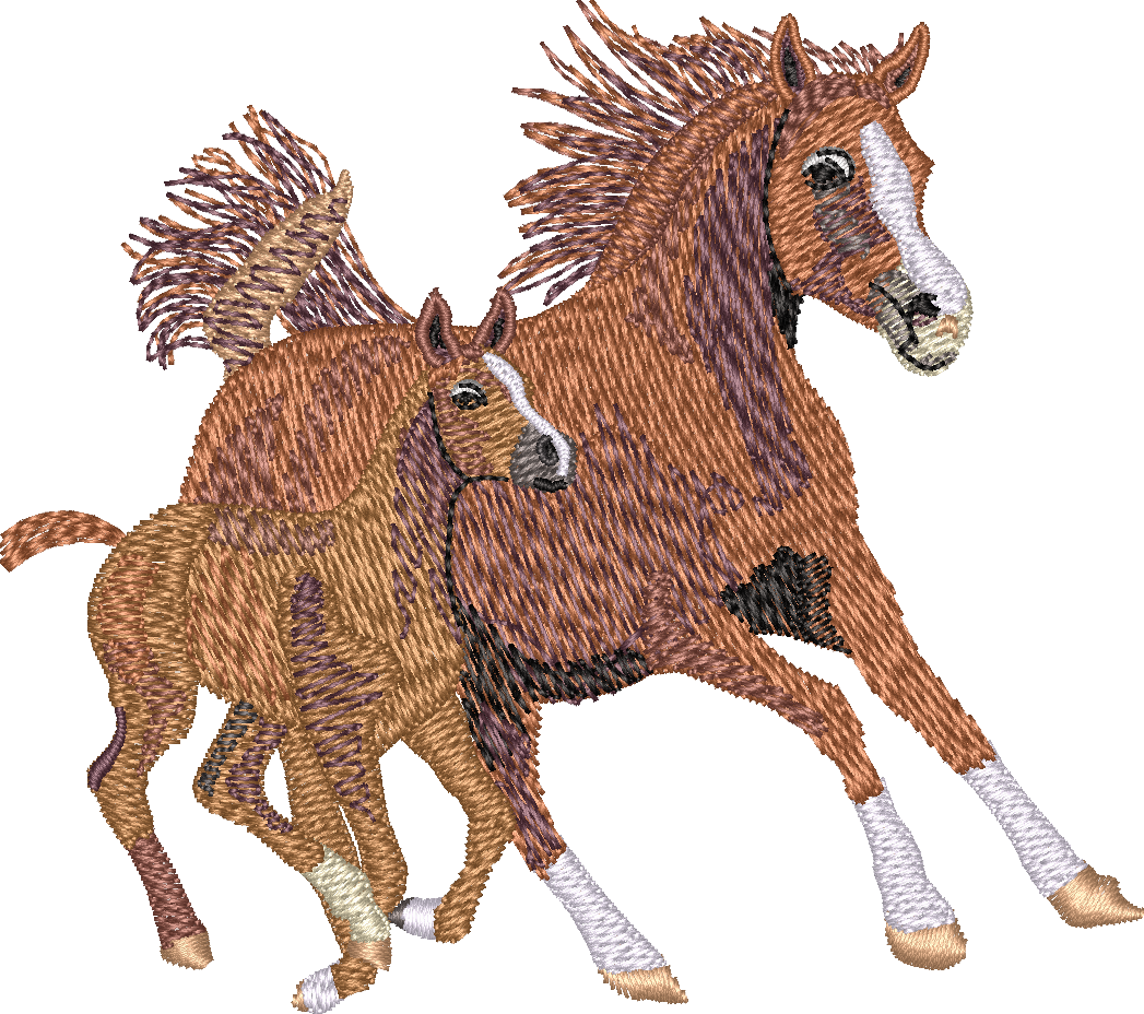 Horse4