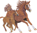 Horse4