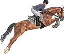 Horse5