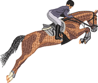 Horse5