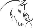 Horse6