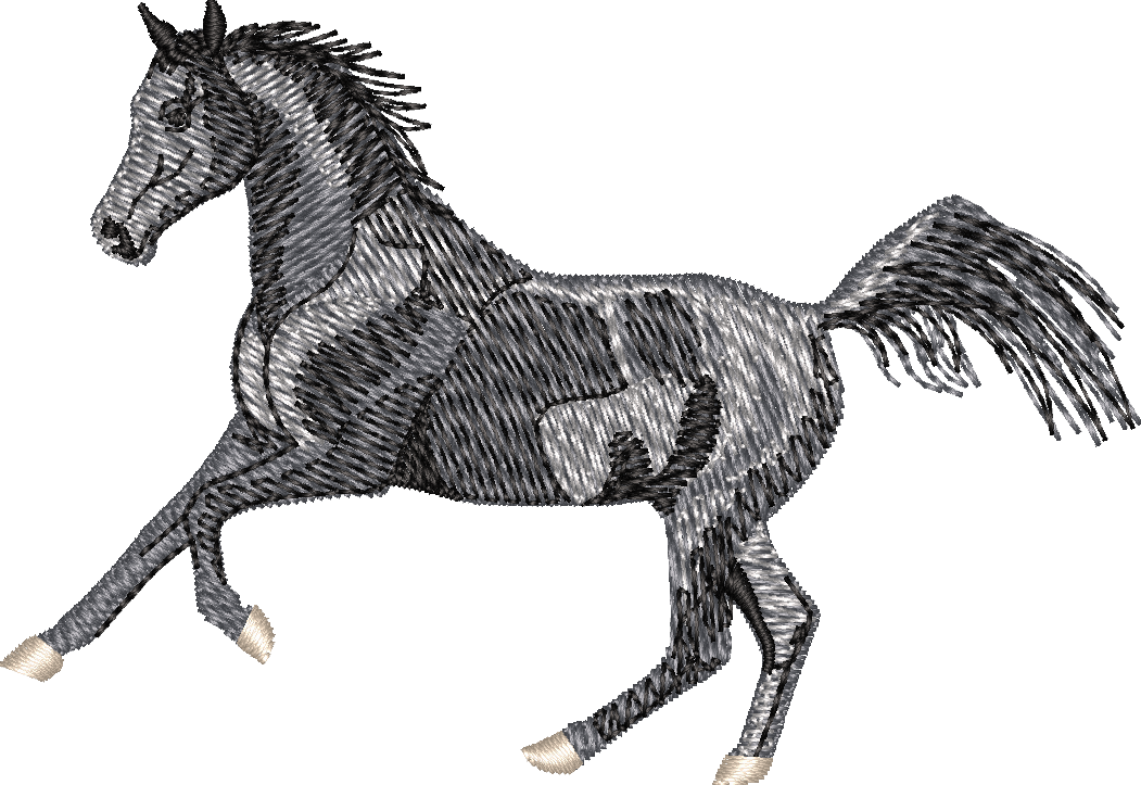 Horse7