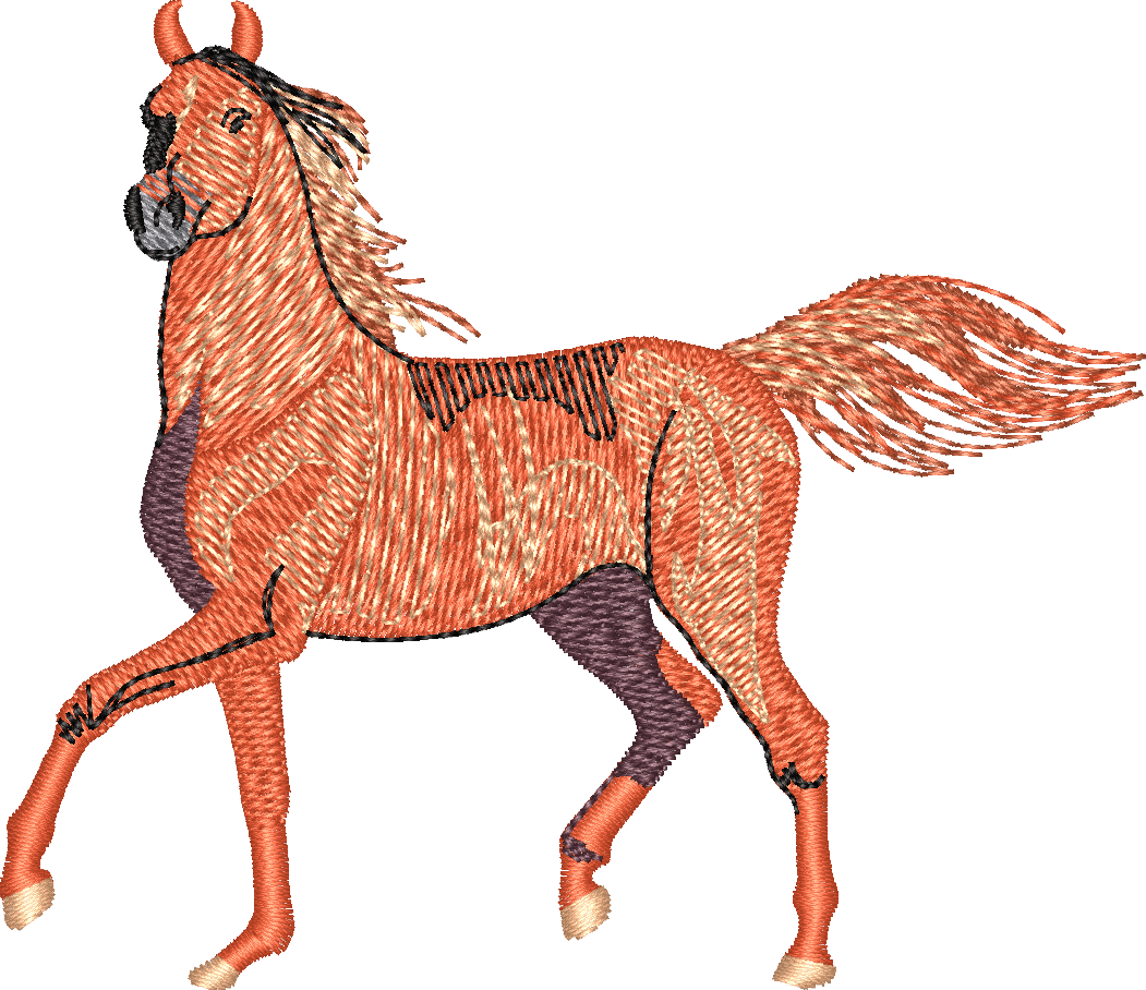 Horse8