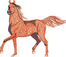 Horse8