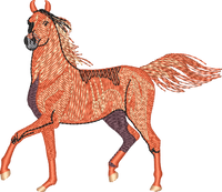 Horse8