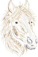 Horse Head Run
