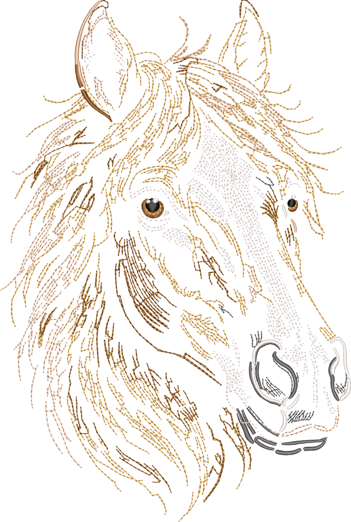 Horse Head Run