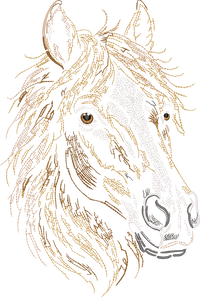 Horse Head Run