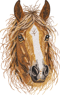 Horse Head Threads