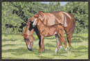 Horse And Pony JB