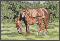 Horse And Pony JB