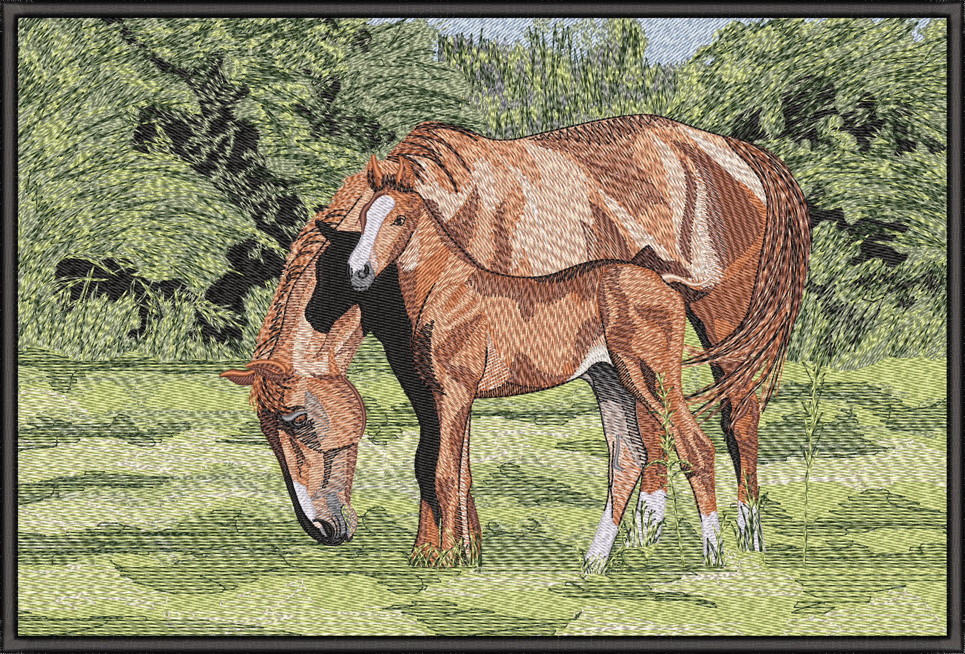 Horse And Pony JB