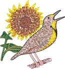 Kansas Meadowlark And Sunflower