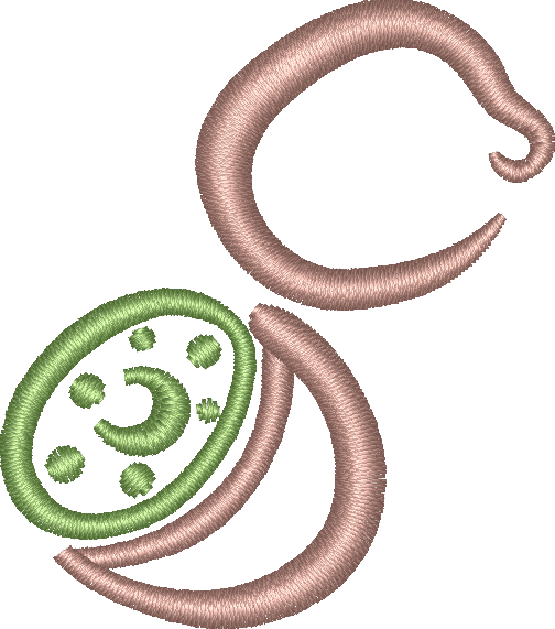 Kiwi Out