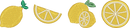 Lemons embroidery design preview
