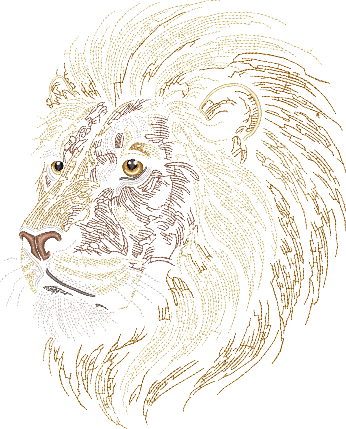 Lion Head Run