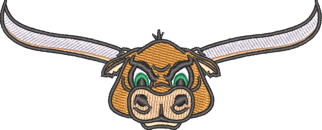 Longhorn Bull Head