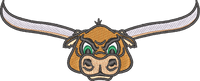 Longhorn Bull Head