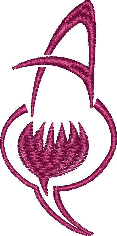 Tulip Flower