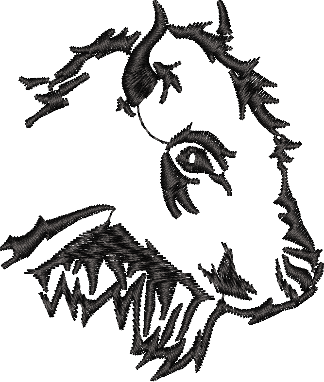 Buffalo Bison Outline
