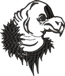 Eagle Head Outline