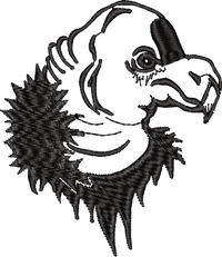 Eagle Head Outline