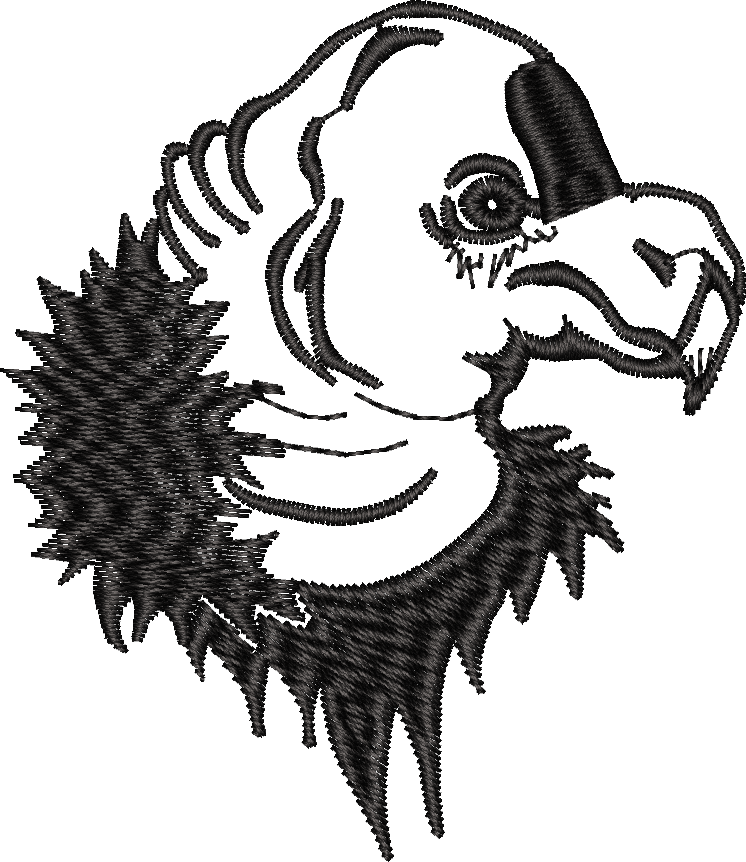 Eagle Head Outline