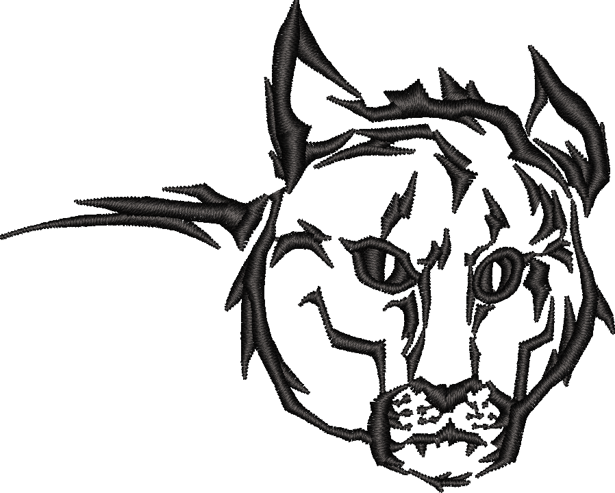 Cougar Mountain Lion