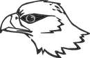 Hawk Head Outline