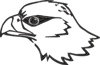 Hawk Head Outline